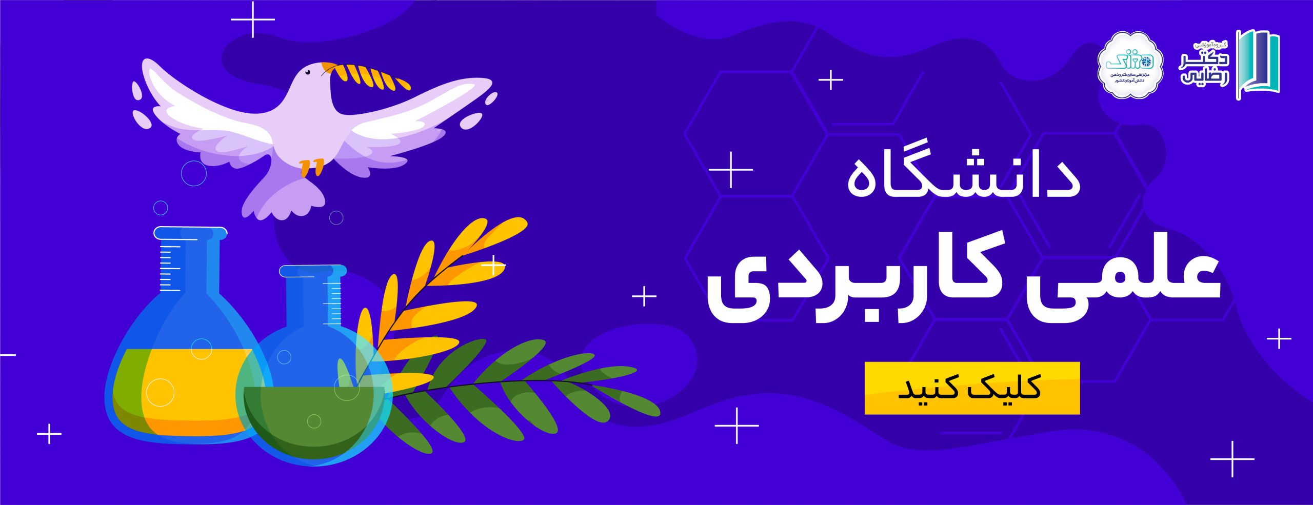 دانشگاه علمی کاربردی